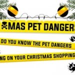 festive top tips for your pet