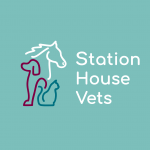 new station house vets rebrand