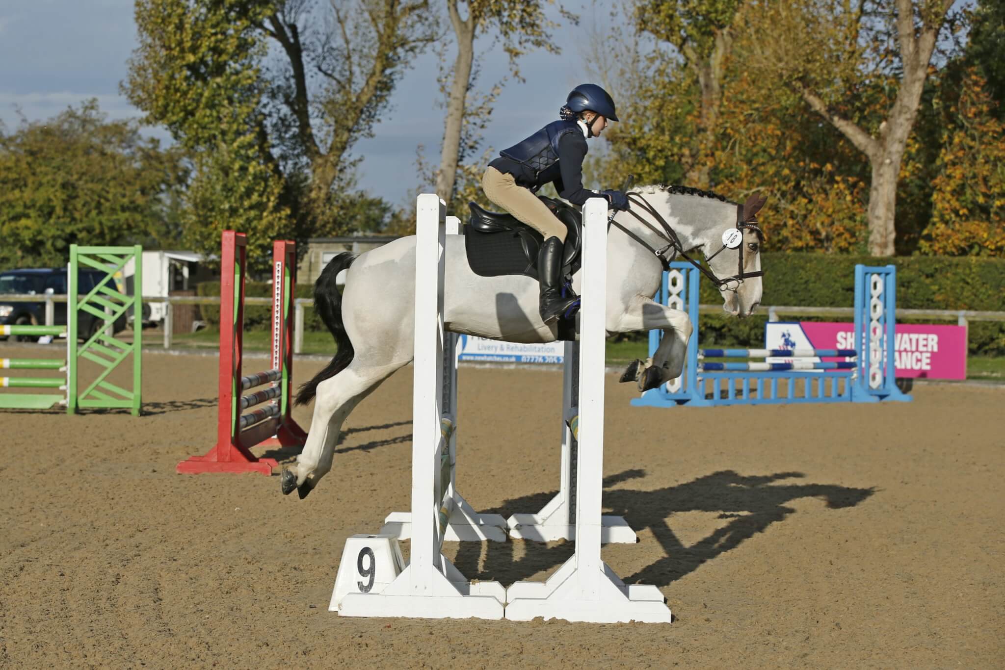 Station House Vets Equine Ambassadors Station House Vets