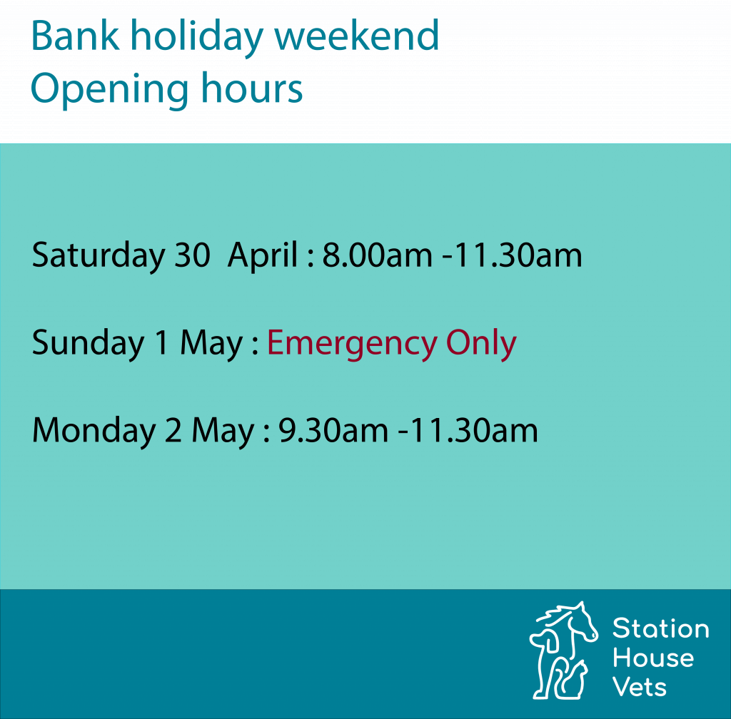 Bank holiday opening hours Station House Vets