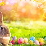 station house vets easter hours